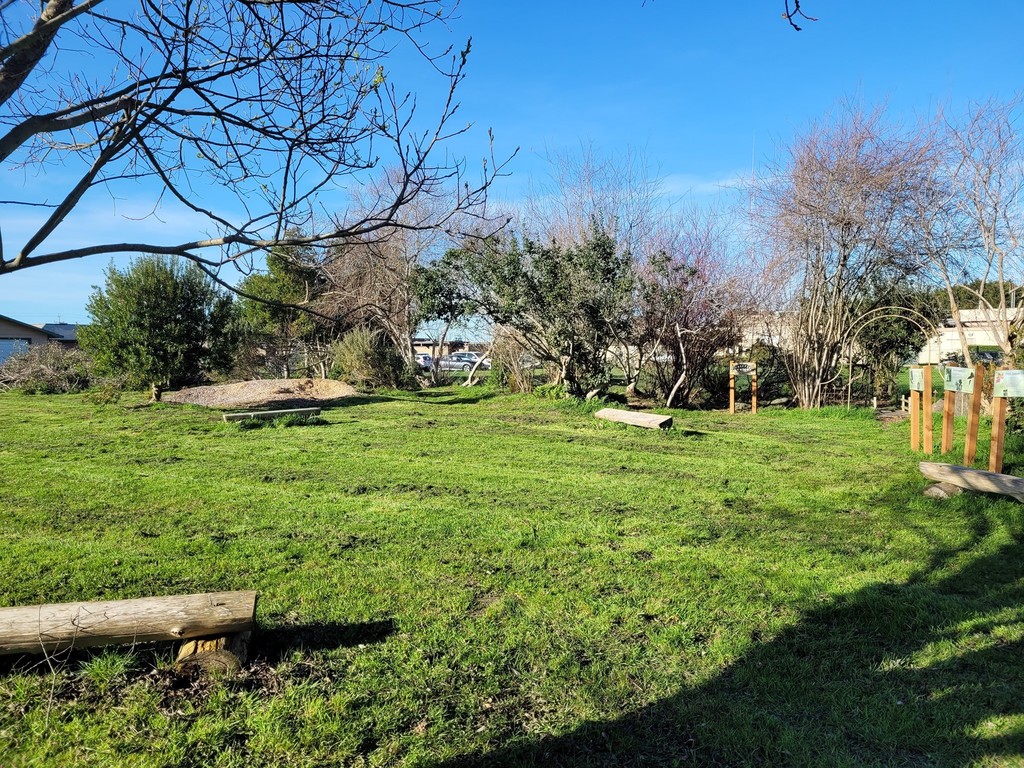 The Pacific Union Arboretum, currently a large open grassy area with trees and shrubs around the edges and a very small number of benches in view.